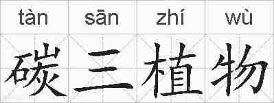碳三植物的拼音