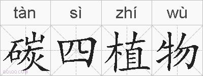 碳四植物的拼音