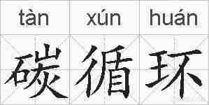 碳循环的拼音