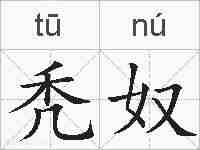 秃奴的拼音