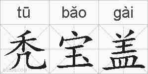 秃宝盖的拼音