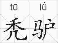 秃驴的拼音