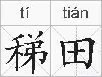 稊田的拼音