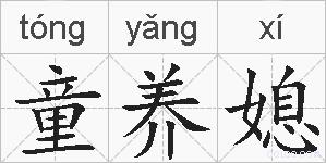 童养媳的拼音