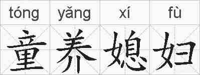 童养媳妇的拼音