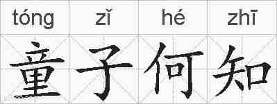 童子何知的拼音