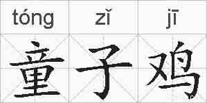 童子鸡的拼音