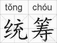 统筹的拼音