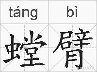 螳臂的拼音