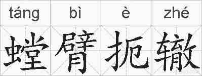 螳臂扼辙的拼音
