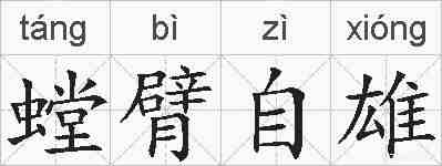 螳臂自雄的拼音