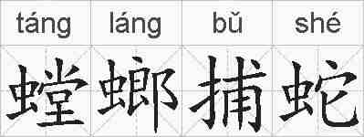 螳螂捕蛇的拼音