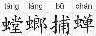 螳螂捕蝉的拼音