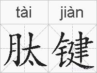 肽键的拼音