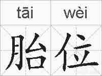 胎位的拼音