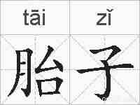 胎子的拼音