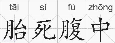 胎死腹中的拼音