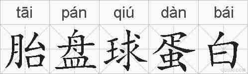 胎盘球蛋白的拼音