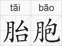 胎胞的拼音
