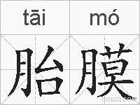 胎膜的拼音