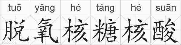 脱氧核糖核酸的拼音