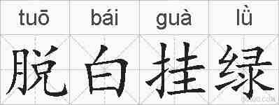 脱白挂绿的拼音