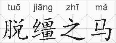 脱缰之马的拼音