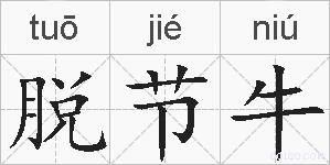 脱节牛的拼音