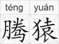 腾猿的拼音