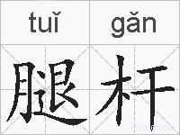 腿杆的拼音