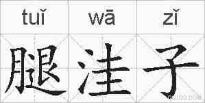 腿洼子的拼音