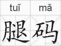 腿码的拼音