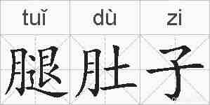 腿肚子的拼音