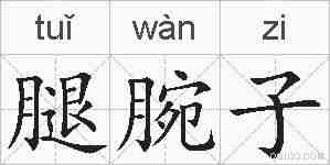 腿腕子的拼音