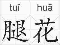 腿花的拼音
