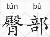 臀部的拼音