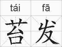 苔发的拼音