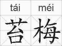 苔梅的拼音