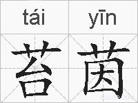 苔茵的拼音