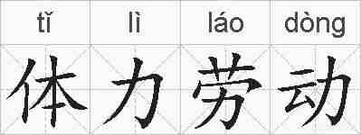 体力劳动的拼音