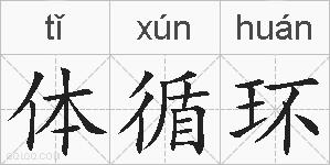 体循环的拼音