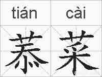 菾菜的拼音