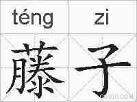 藤子的拼音
