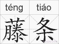 藤条的拼音