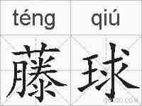 藤球的拼音