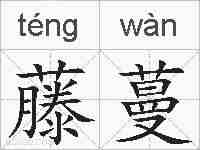 藤蔓的拼音