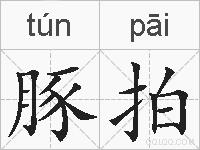 豚拍的拼音