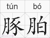 豚胉的拼音