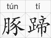 豚蹄的拼音
