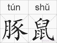 豚鼠的拼音
